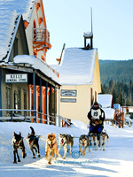 Dog_0100 sled Barkerville