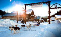 Barkerville China Town Sled Dog_0200