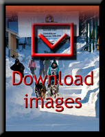 Digital Files of all categories for immediate download.