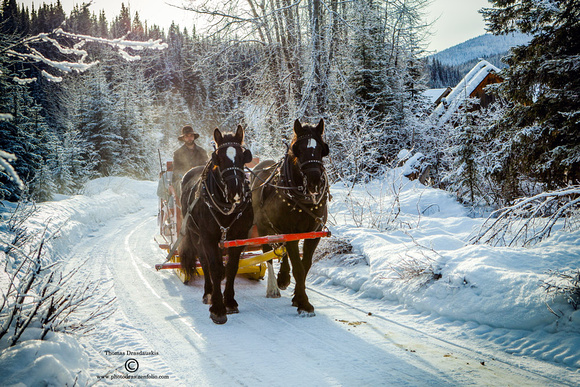 Barkerville Old Fashioned Christmas 2014
