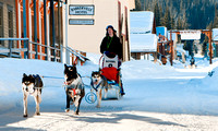 Dog_0084 sled Barkerville