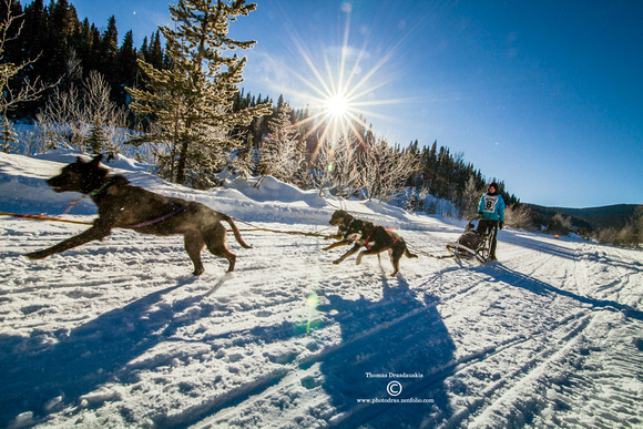 BC, Barkerville, Canada, Dog, "Dog Sled Mail Run", Mail, Run, Sled, outdoors, snow, sport, winter fun "Sled Dogs"